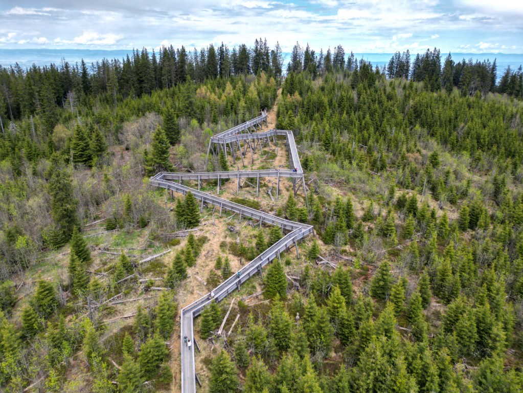 Gäggersteg Waldwipfelpfad 