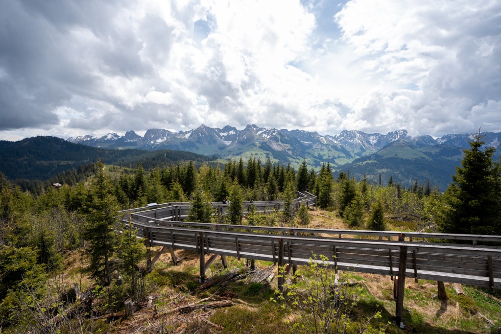 Gäggersteg Waldwipfelpfad 